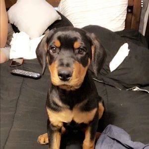 Meet your Posher, Christine